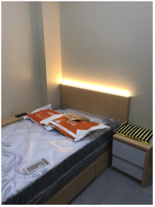 Benih Tumbuh Berkarya